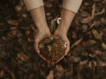 manos con tierra de la que crece una plantita para representar el crecimiento postraumático